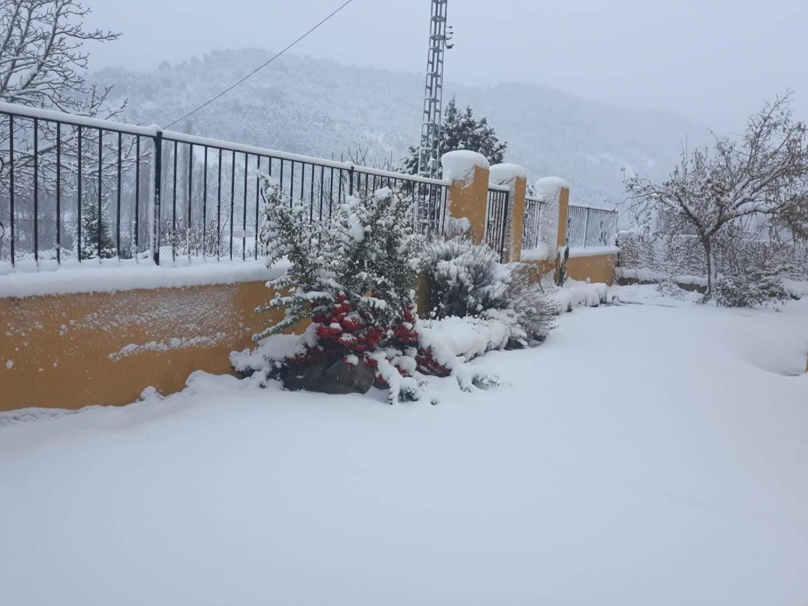 Casa Rural Los Acebos Villa Riópar Dış mekan fotoğraf